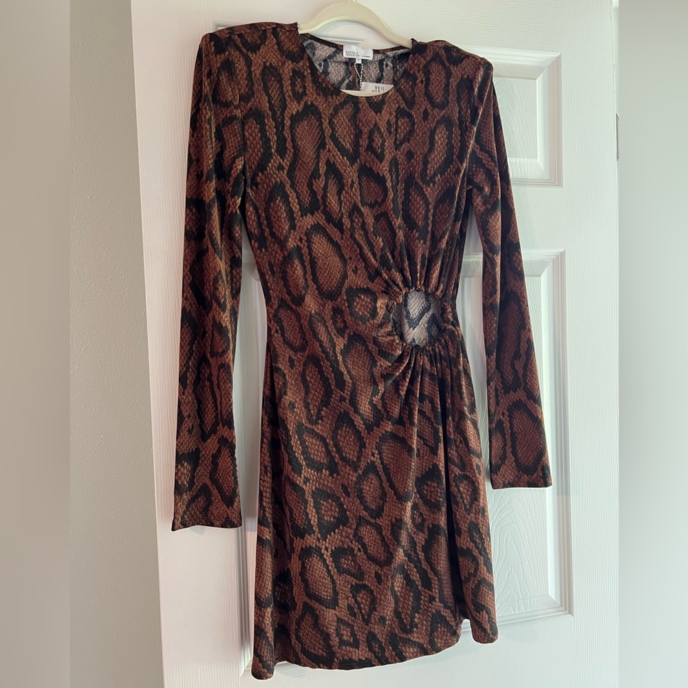 Danielle Bernstein Leopard Print Dress